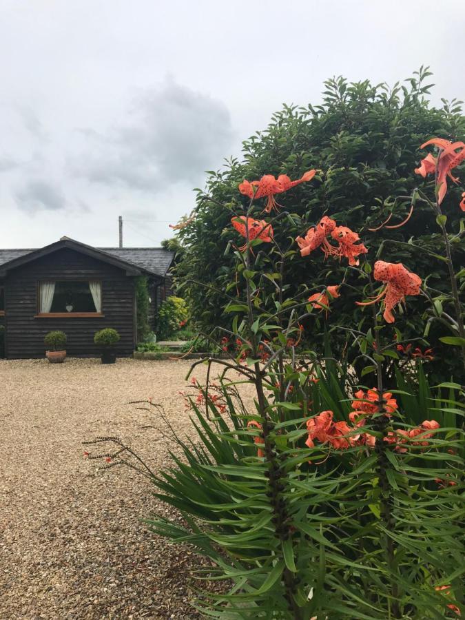 The Garden Cottage, Inglewhite Экстерьер фото